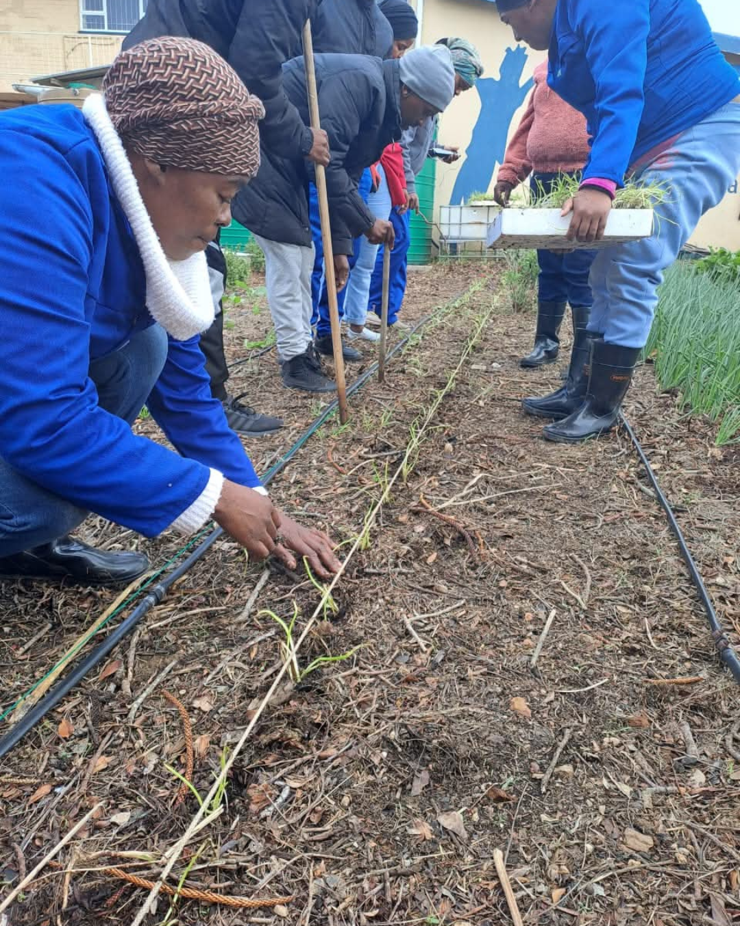 Skills Training Workshop